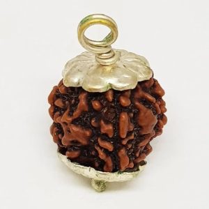 3 Mukhi Rudraksha Lab certifed siddh abhimantrit in Locket/pendent