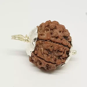 6 mukhi rudraksha lab certified Siddh abhimantrit with locket /pendent
