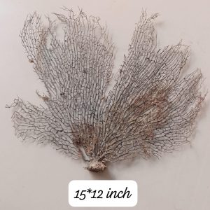 Indrajal Vanaspati Real Natural And Durlabh (इंद्रजाल वनस्पति) 15*12 inch