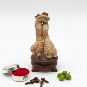 Abhimantrit Original Hatha Jodi – Rare Root for Wealth, Success, and Protection